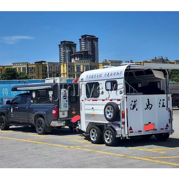 哈尔滨两马位马车